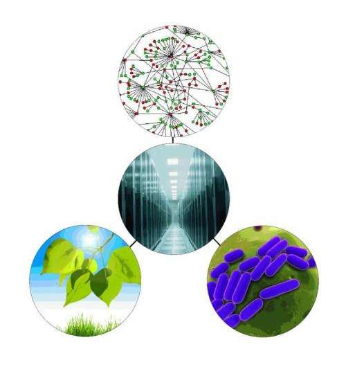 DOE 'Knowledgebase' links biologists, computer scientists to solve energy, environmental issues