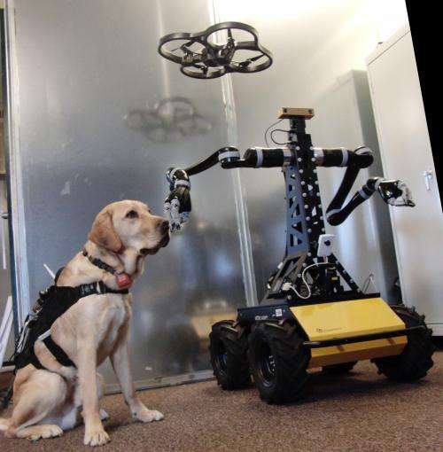 Dogs, technology and the future of disaster response