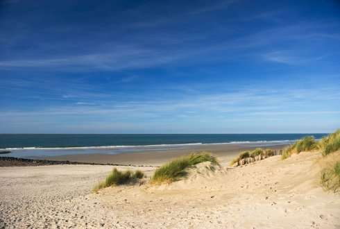 ‘Doing nothing’ to maintain the dunes on Ameland does not affect coastal safety