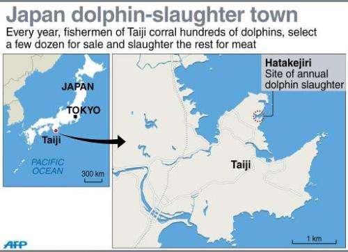 Dolphin slaughter