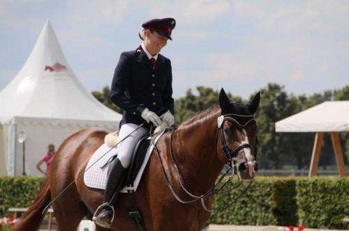 Do women and men ride differently? If so, horses cannot tell the difference