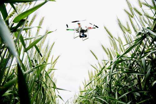 Drones give farmers an eye in the sky to check on crop progress