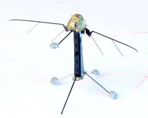 Researchers mimic insect ocelli to build light sensor to control fly-sized drone