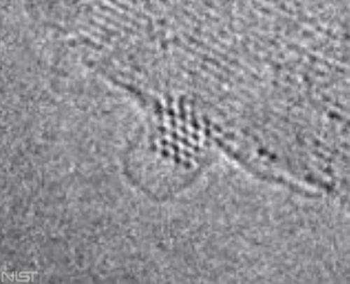 Researchers take first pictures of baby nanotubes