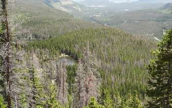 Earth Week: Bark beetles change Rocky Mountain stream flows, affect water quality