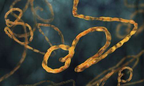 Ebola forecasting uses model developed by EU project