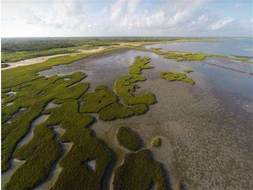 Ecologists team up to buy Texas bayside ranch