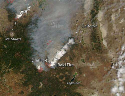 Eiler and Bald Fires in California