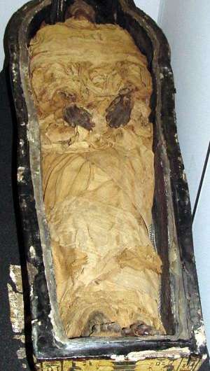 Embalming study 'rewrites' key chapter in Egyptian history