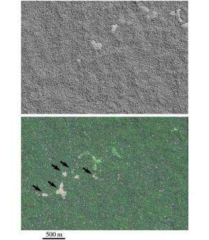 Hi-res satellite imagery helps researchers monitor isolated Amazonian tribes-people