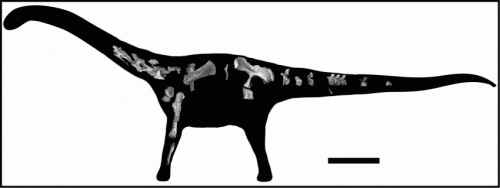 New species of titanosaurian dinosaur found in Tanzania