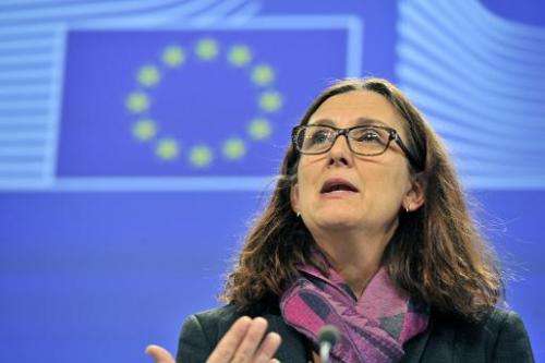 EU home affairs commissioner Cecilia Malmstroem gives a press conference on December 4, 2013 at the EU Headquarters in Brussels