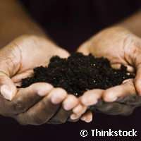 EU-project applies green technologies to decontaminate soil