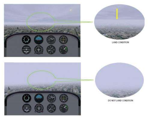 Expert pilots process multiple visual cues more efficiently, scientists find