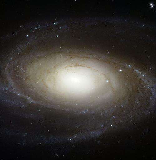 Fat or flat: Getting galaxies into shape