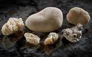 Fiber intake tied to reduced risk of kidney stones