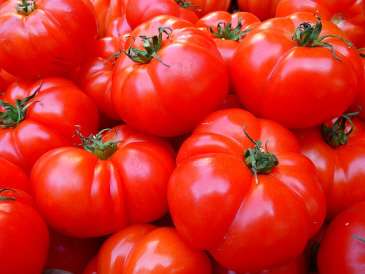 Fighting prostate cancer with a tomato-rich diet
