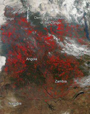 Fires in Central Africa During July 2014