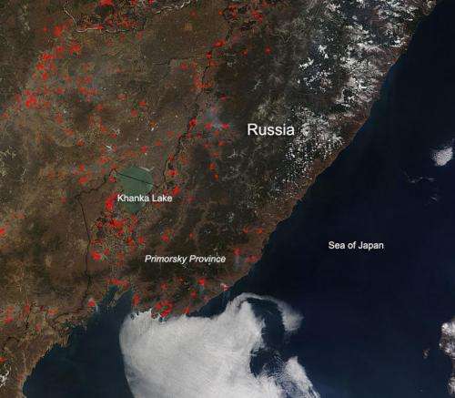 Fires in the Primorsky Province of Russia