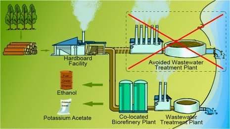 First commercial quantities of cellulosic ethanol from woody biomass marketed