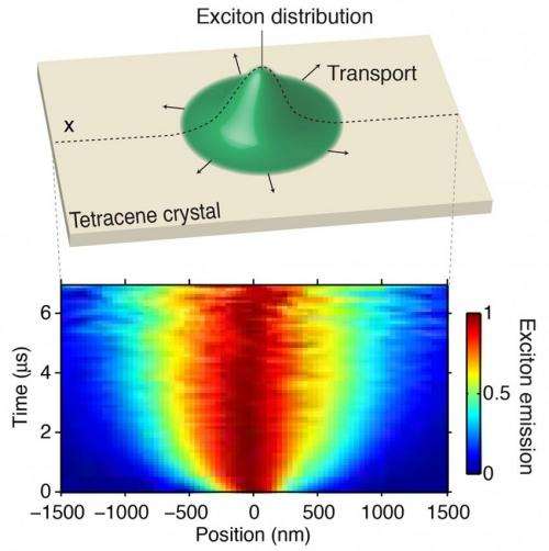 First direct observations of excitons in motion achieved