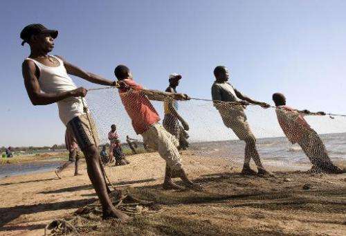 Fishermen pull up a fishing net on the shores of Lake Malawi, near the Makawa Fishing Village in the district of Mangochi on May