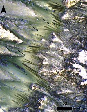 Flowing water on Mars appears likely but hard to prove