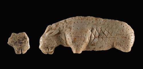 Fragment of Ice Age ivory lion gets its head back
