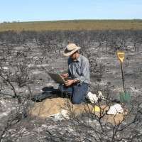 Frequent fire and drying climate threaten WA plants