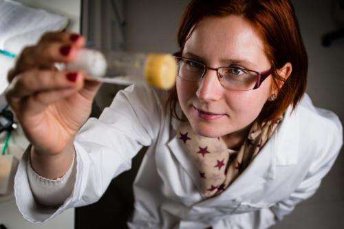 Fruit fly research to provide new insight into our body clock and its biological impact