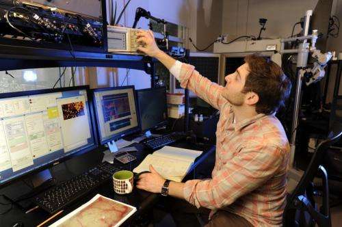 Game technology teaches mice and men to hear better in noisy environments