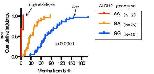 Genotyping of Aldehyde dehydrogenase2 (ALDH2) solves the mystery of Fanconi anemia.
