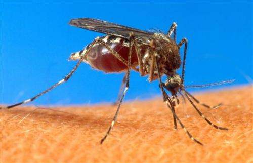 Guyana confirms more cases of virus new to region