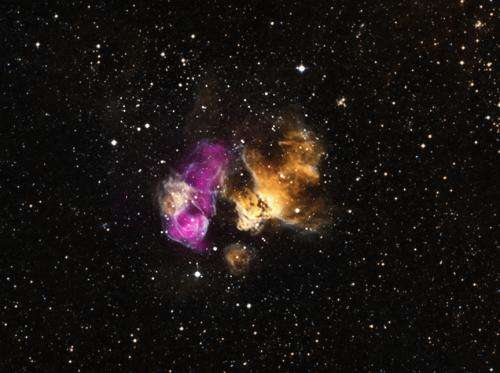 Hardy star survives supernova blast