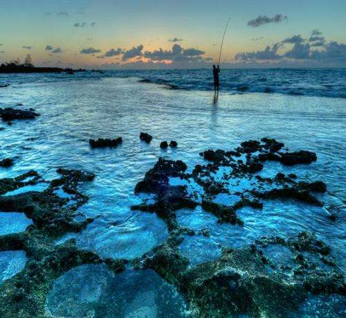 Hawaii-Reef-Health-Study-Finds-Two-thirds-Of-Hawaiian-Reefs-Are-Covered-With-Algae