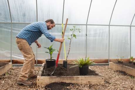 High tunnels to simulate climate change