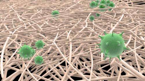 Nano-paper filter removes viruses
