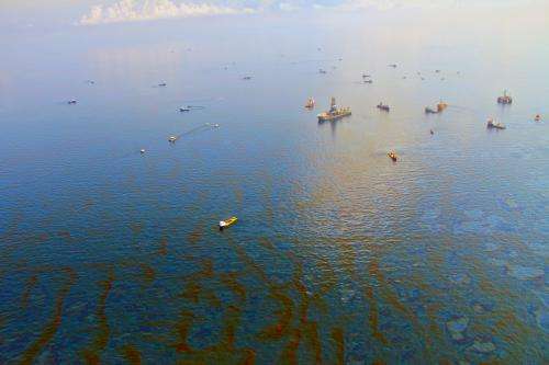 Horizon oil spill inspires hydrocarbon sensor development