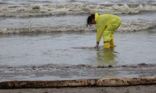 How beach microbes responded to the Deepwater Horizon oil spill