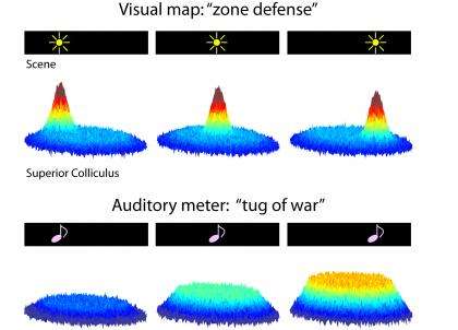 How vision captures sound now somewhat uncertain