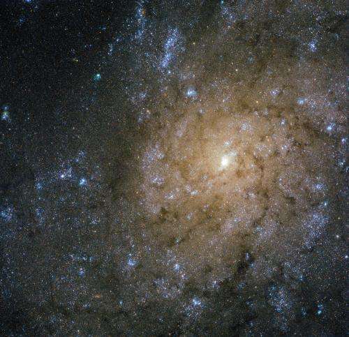Hubble finds jets and explosions in NGC 7793