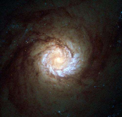 Hubble View: A Hungry Starburst Galaxy