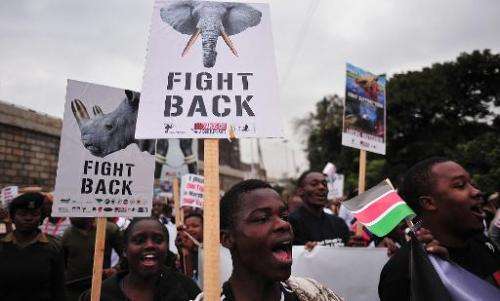 Hundreds of Kenyans join conservationists and activists for a march demanding action to stop the soaring rhino and elephant poac
