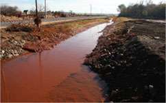 Hungarian red mud spill did little long-term damage