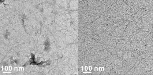 Hybrid nanotube-graphene material promises to simplify manufacturing