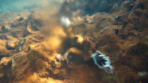 Hydrothermal vents could explain chemical precursors to life