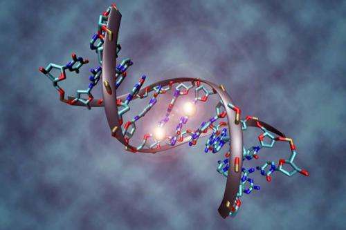 Identifying epigenetic markers in cancer cells could improve patient treatment