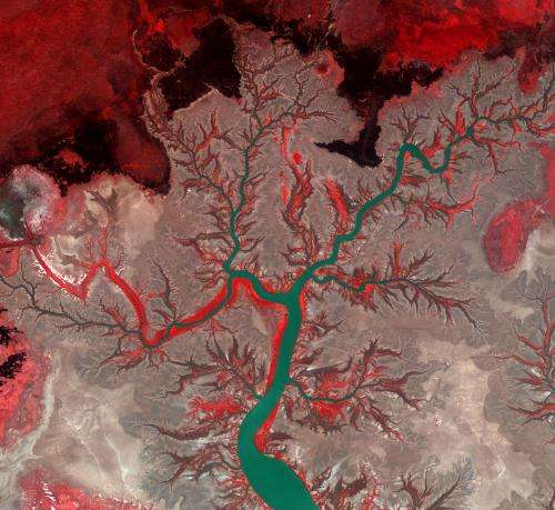Image: Australia's Kumbunbur Creek from orbit