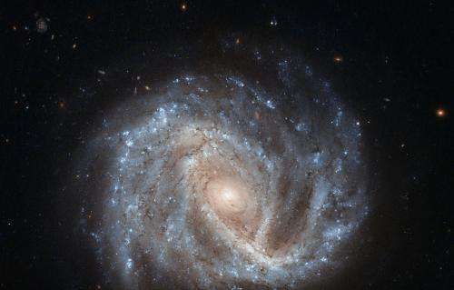 Image: Hubble eyes a curious supernova in NGC 2441