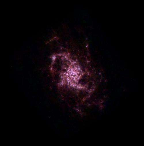 Image: Our flocculent neighbour, the spiral galaxy M33